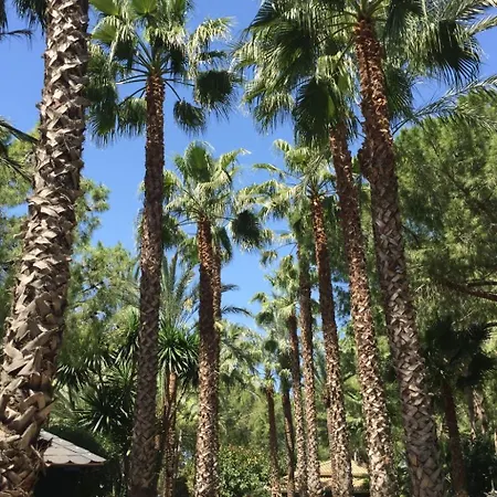 Ferienvilla El Oasis By Interhome *